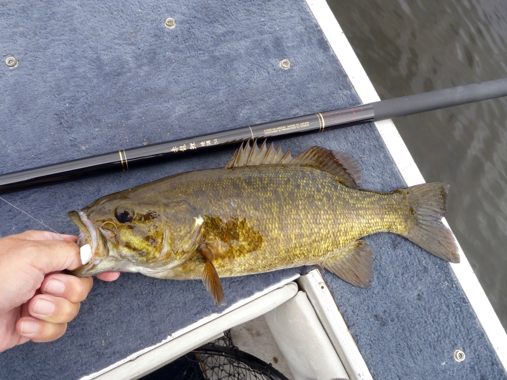 Smallmouth bass caught with Red Dragon