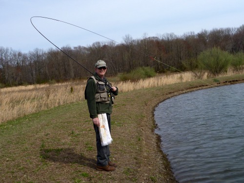 Angler showing extreme bend in the rod from a bluegill