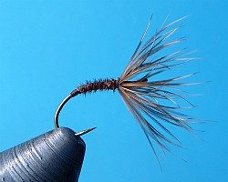 Sakasa Kebari tied with pheasant tail body and hen pheasant hackle