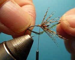 Tying in peacock herl.