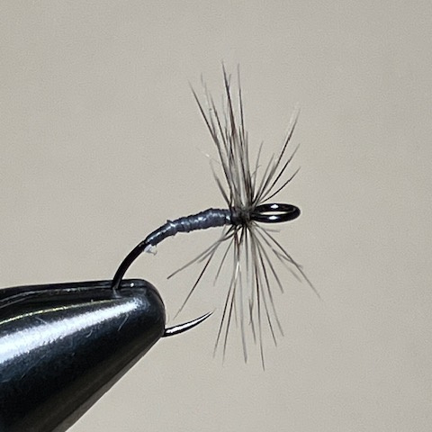 second-batch-gray-grizzly