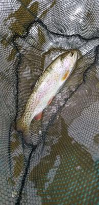 Finally a rainbow