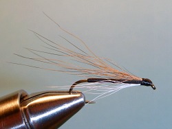 Minimal Dace in the vise