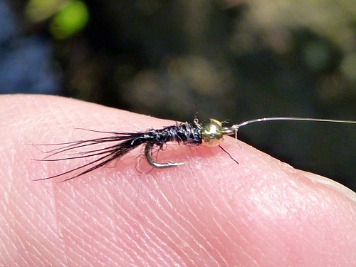 Size 26 bead head black Killer Bugger