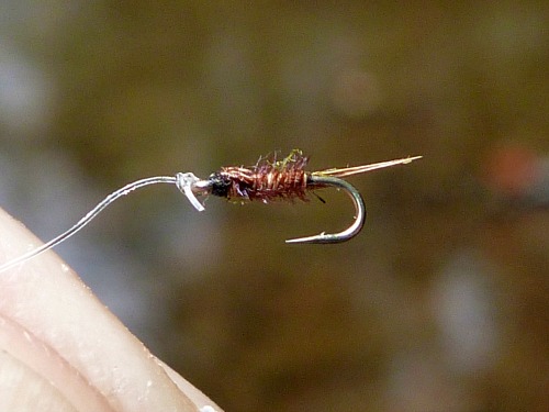 Pheasant tail nymph tied on a size 26 hook