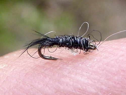 Size 26 black Killer Bugger