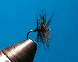 Stewart Black Spider in the vise