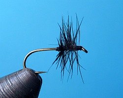 Stewart Black Spider tied in the style of WC Stewart