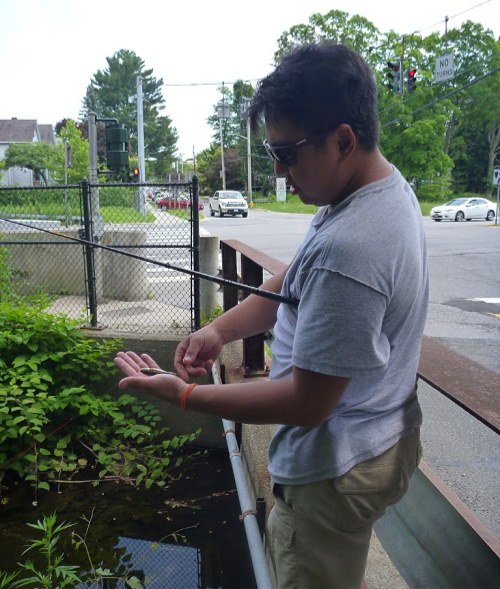 Micro fisherman near busy intersection