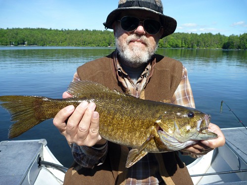 Angler in boat holding nice smallmouth bass