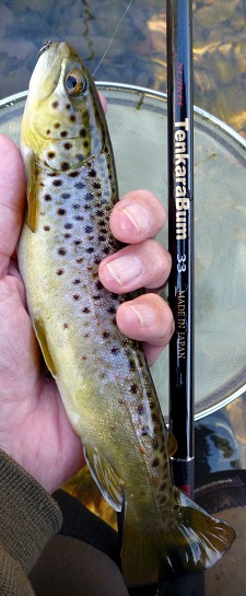 Angler holding brown trout alongside a TenkaraBum 33.