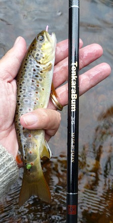 Angler holding brown trout alongside TenkaraBum 36 tenkara rod