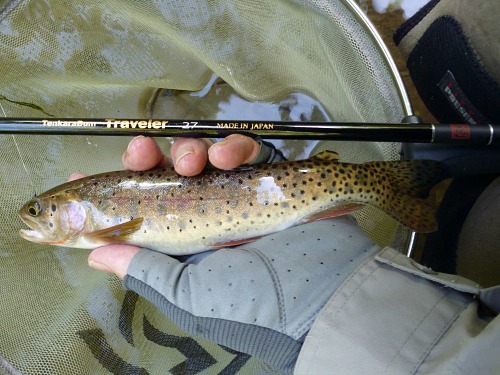 Angler holding cutthroat trout and TenkaraBum Traveler 27