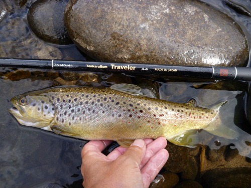 Beaverkill Brown alongside a TenkaraBum Traveler 44