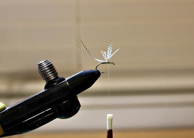 Lemon wood duck feather snugged down