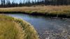 Valley Creek - Lure Fishing