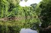 A Beautiful Stretch of Water on Cibolo Creek