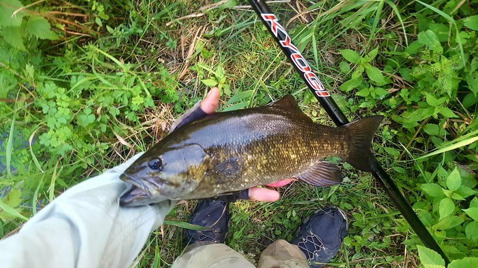 Angler holding smallmouth bass