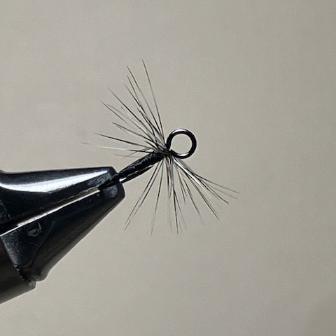 top-view-cropped