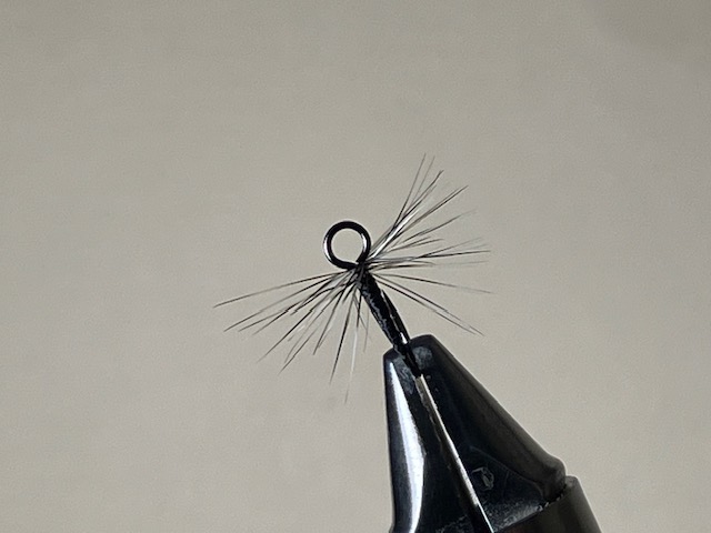wide-eyed-hook-top-view