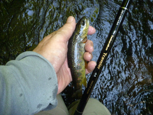 TenkaraBum Traveler 44 and small trout