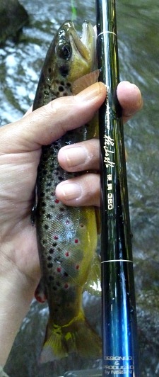 Nissin Fine Mode Kosansui 360