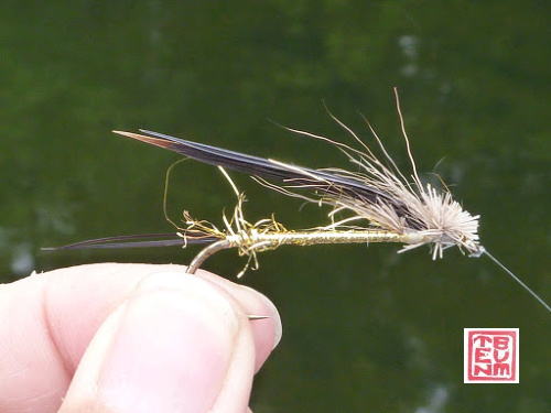 Well chewed Muddler Minnow. Deer hair almost completely gone.