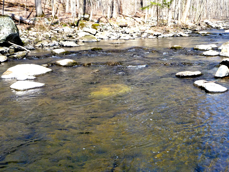 White line against dark water background, showing line sag