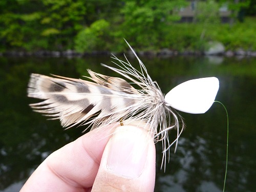 Angler holding white plastic popper with hen pheasant hackle legs