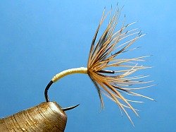 Fly tied on Wide Eyed hook, side view