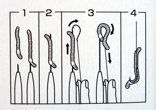 Illustrated method: 1 Extend needle, thread worm, end with needle outside worm. 2 Insert hook point into end of hollow needle. 3 push worm off needle onto hook.