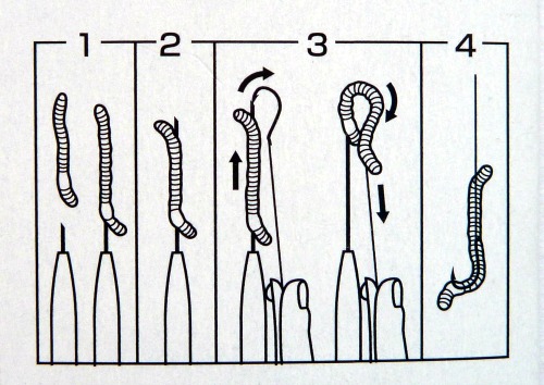 Illustrated method: 1 Extend needle, thread worm, end with needle outside worm. 2 Insert hook point into end of hollow needle. 3 push worm off needle onto hook.