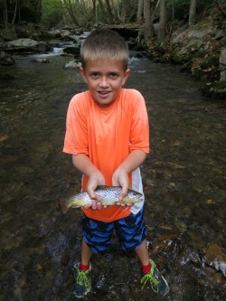 Wyatt's brown trout