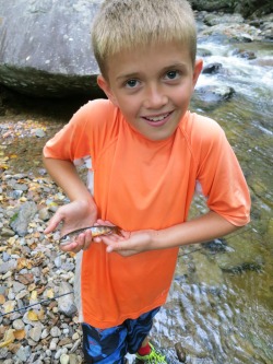 Wyatt's brook trout