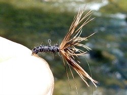 Angler holding fly tied without vise
