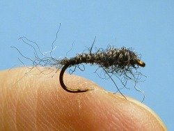 Yarn Nymph, lightly stuck in angler's finger