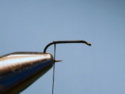 Hook in vise. Thread started at eye and wrapped back to hook bend.